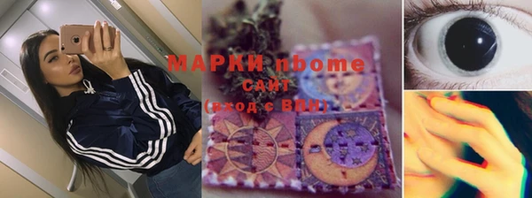 шишки Аркадак