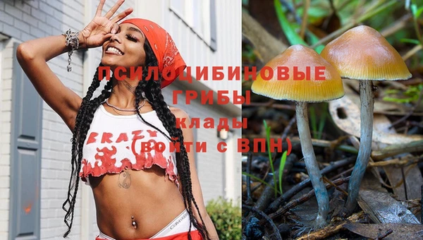 ГАЛЛЮЦИНОГЕННЫЕ ГРИБЫ Армянск