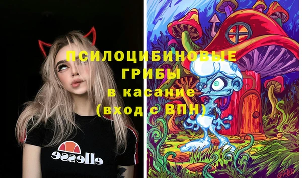 ГАЛЛЮЦИНОГЕННЫЕ ГРИБЫ Армянск