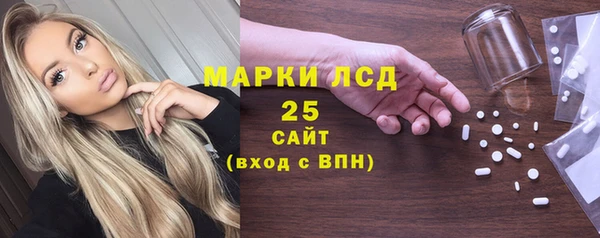 шишки Аркадак